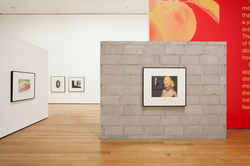 Installation view of Christopher Williams: The Production Line of Happiness, The Museum of Modern Art, 2014. Photo by Jonathan Muzikar. © The Museum of Modern Art, New York